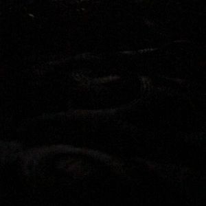 Meet your Posher, Romell